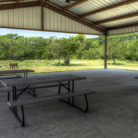 Outdoor seating under pavilion